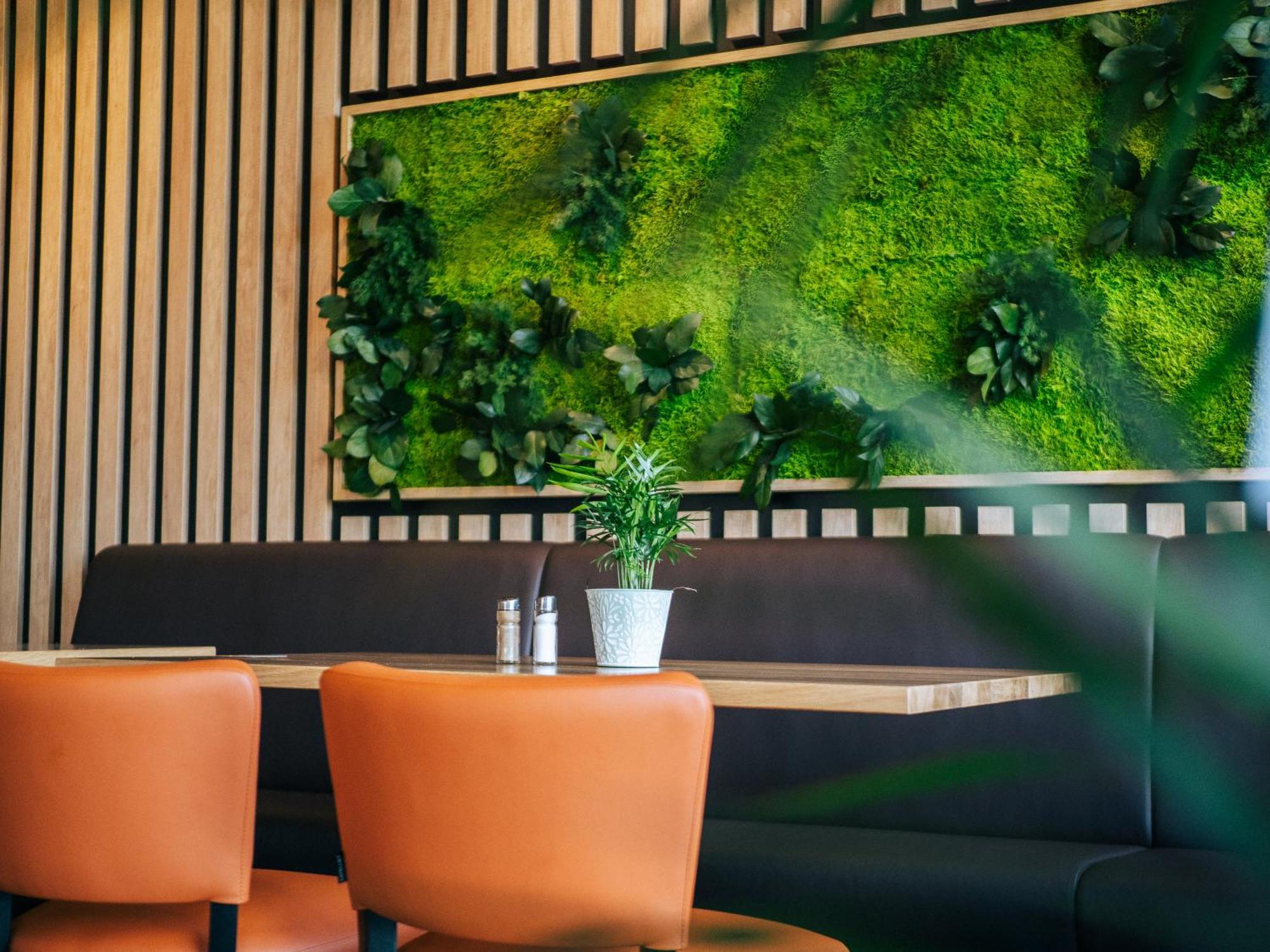Appartement Am Hohenbusch Burg Reuland Zewnętrze zdjęcie