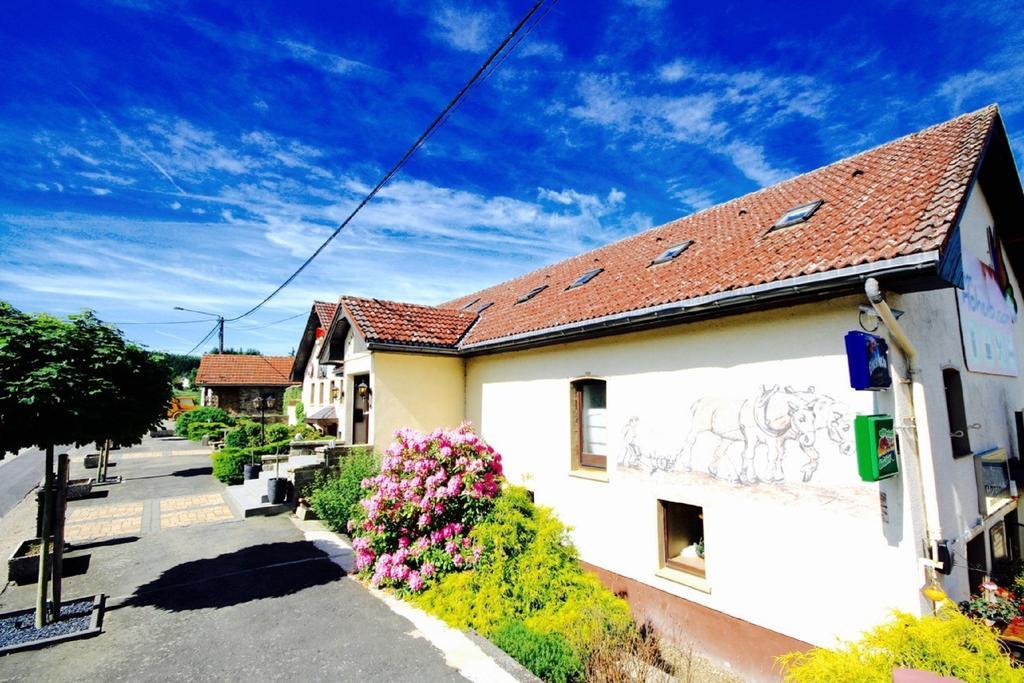 Appartement Am Hohenbusch Burg Reuland Zewnętrze zdjęcie